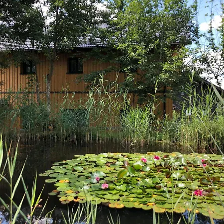 Ausseer 巴特奥塞