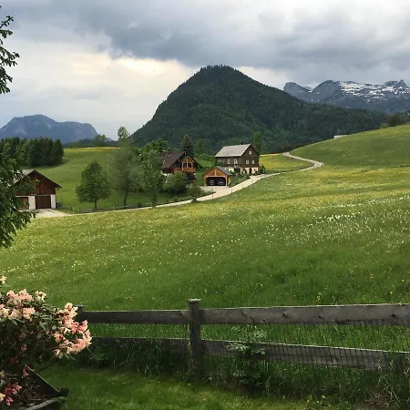 Ausseer