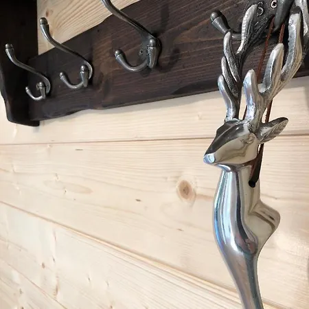 Ausseer 巴特奥塞