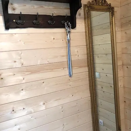 Ausseer 公寓 巴特奥塞