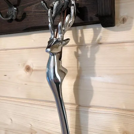 公寓 Ausseer 巴特奥塞