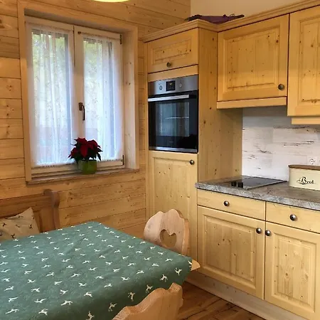 公寓 Ausseer 巴特奥塞