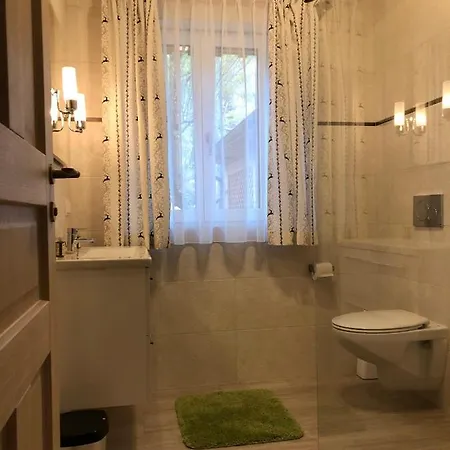 Ausseer 巴特奥塞