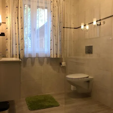 公寓 Ausseer 巴特奥塞