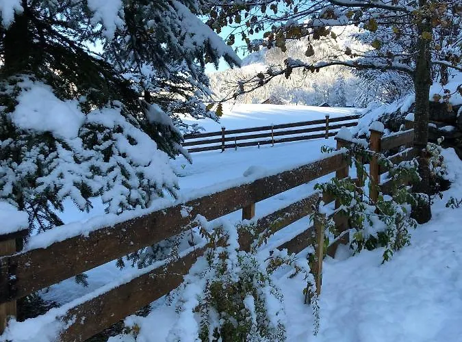 Appartement Ausseer *